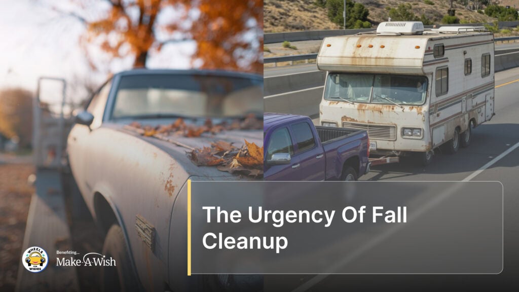 The Urgency Of Fall Cleanup